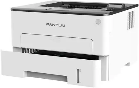 Pantum P3300DW Black & White Laser Printer details – image 4